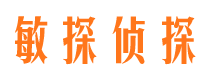 平武婚外情调查取证